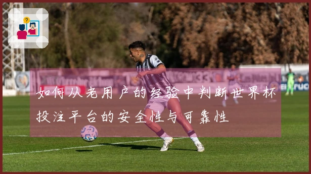 如何从老用户的经验中判断世界杯投注平台的安全性与可靠性