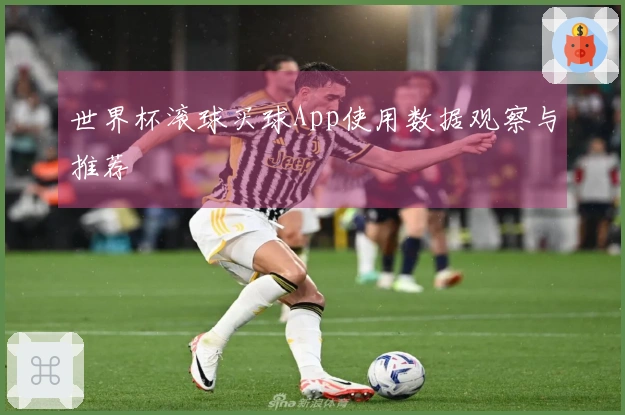 世界杯滚球买球App使用数据观察与推荐