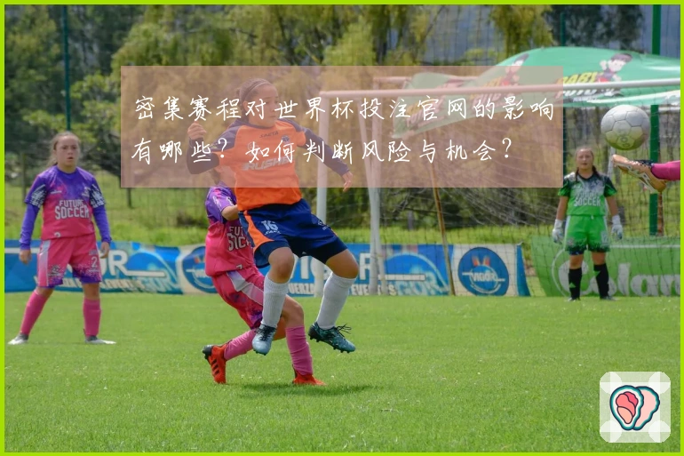 密集赛程对世界杯投注官网的影响有哪些?如何判断风险与机会?