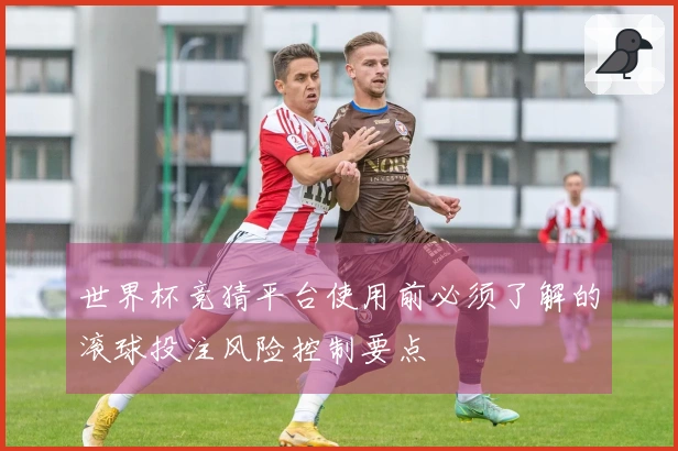 世界杯竞猜平台使用前必须了解的滚球投注风险控制要点
