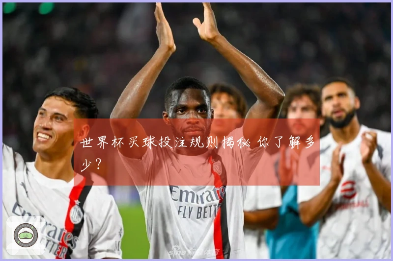 世界杯买球投注规则揭秘 你了解多少？