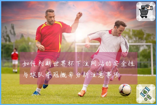 如何判断世界杯下注网站的安全性与球队夺冠概率分析注意事项