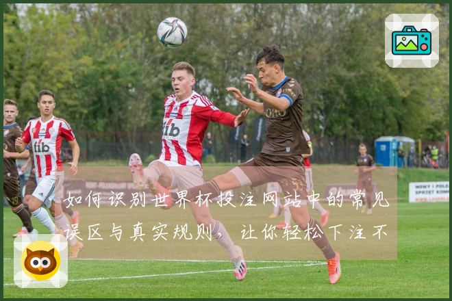 如何识别世界杯投注网站中的常见误区与真实规则，让你轻松下注不再困惑