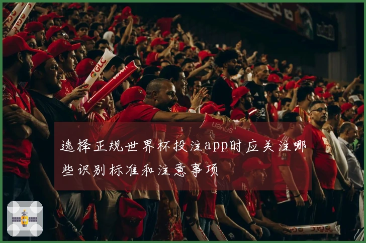 选择正规世界杯投注app时应关注哪些识别标准和注意事项