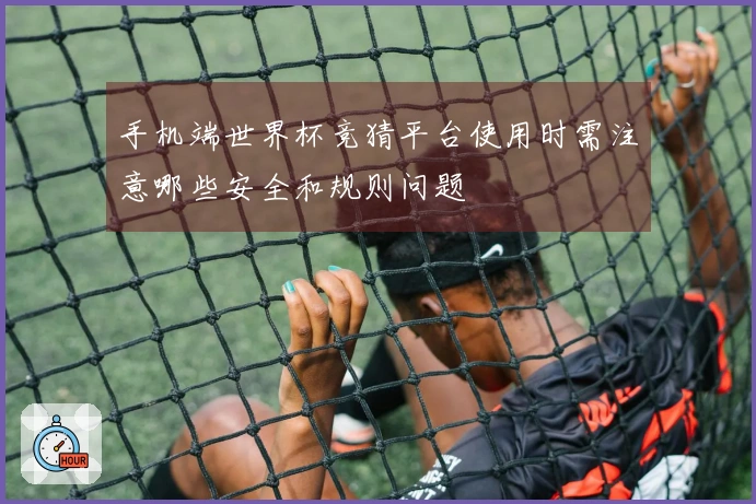 手机端世界杯竞猜平台使用时需注意哪些安全和规则问题