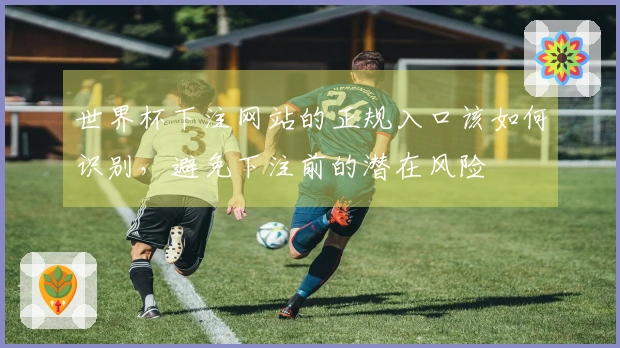 世界杯下注网站的正规入口该如何识别，避免下注前的潜在风险