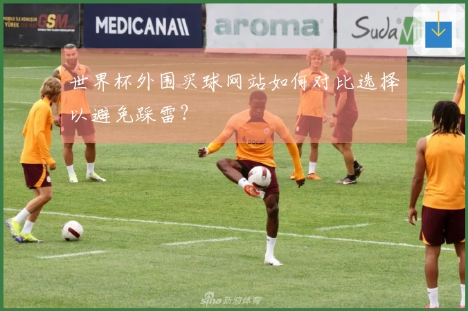 世界杯外围买球网站如何对比选择以避免踩雷？