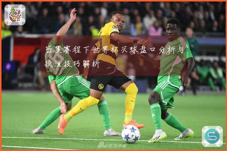 密集赛程下世界杯买球盘口分析与投注技巧解析