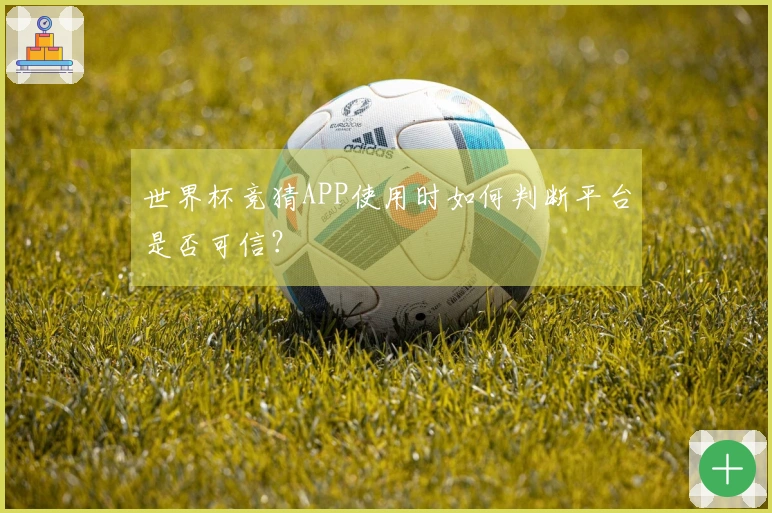 世界杯竞猜APP使用时如何判断平台是否可信？