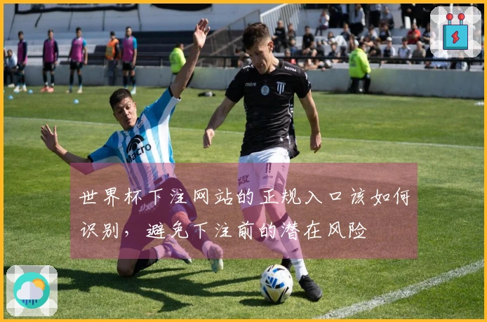 世界杯下注网站的正规入口该如何识别，避免下注前的潜在风险