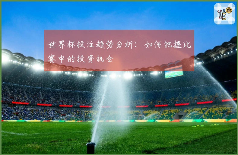 世界杯投注趋势分析：如何把握比赛中的投资机会