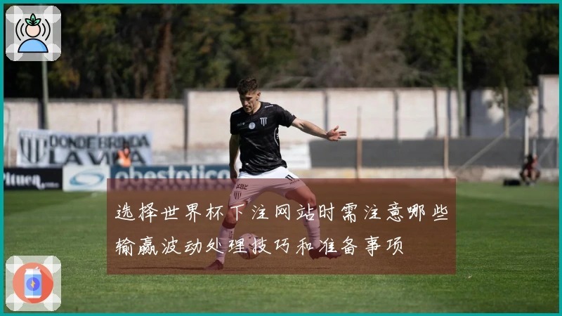 选择世界杯下注网站时需注意哪些输赢波动处理技巧和准备事项