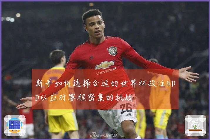 新手如何选择合适的世界杯投注app以应对赛程密集的挑战
