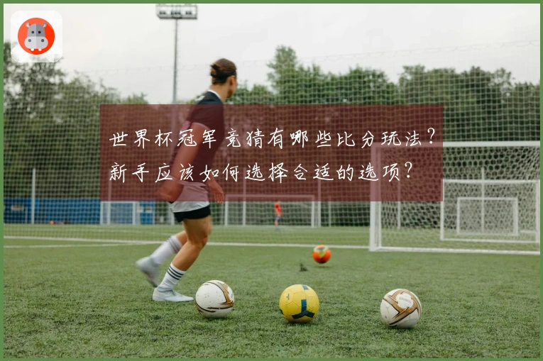 世界杯冠军竞猜有哪些比分玩法?新手应该如何选择合适的选项?