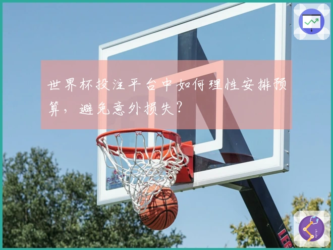 世界杯投注平台中如何理性安排预算，避免意外损失？