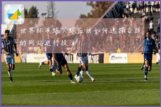 世界杯滚球买球应该如何选择合适的网站进行投注