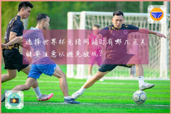 选择世界杯竞猜网站时有哪几点关键要注意以避免被坑？