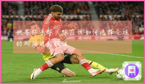 世界杯滚球买球应该如何选择合适的网站进行投注