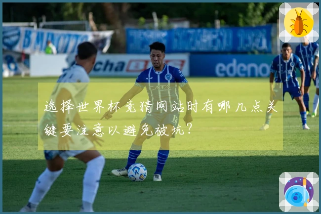 选择世界杯竞猜网站时有哪几点关键要注意以避免被坑？