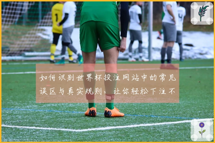 如何识别世界杯投注网站中的常见误区与真实规则，让你轻松下注不再困惑