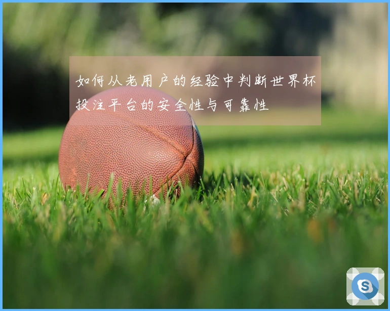 如何从老用户的经验中判断世界杯投注平台的安全性与可靠性