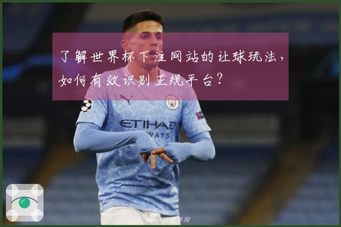 了解世界杯下注网站的让球玩法，如何有效识别正规平台？