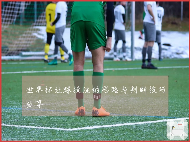 世界杯让球投注的思路与判断技巧分享
