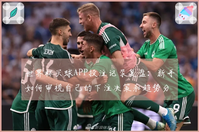 世界杯买球APP投注记录复盘：新手如何审视自己的下注决策和趋势分析