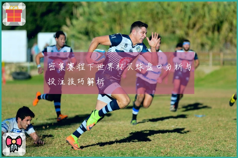 密集赛程下世界杯买球盘口分析与投注技巧解析