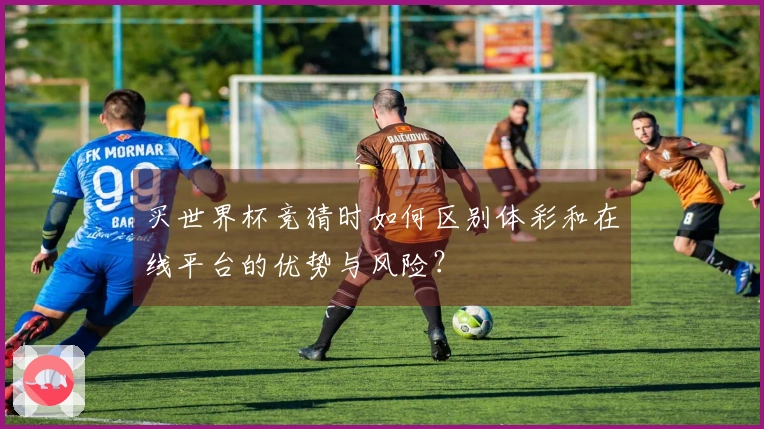 买世界杯竞猜时如何区别体彩和在线平台的优势与风险？