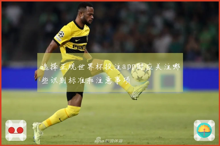 选择正规世界杯投注app时应关注哪些识别标准和注意事项