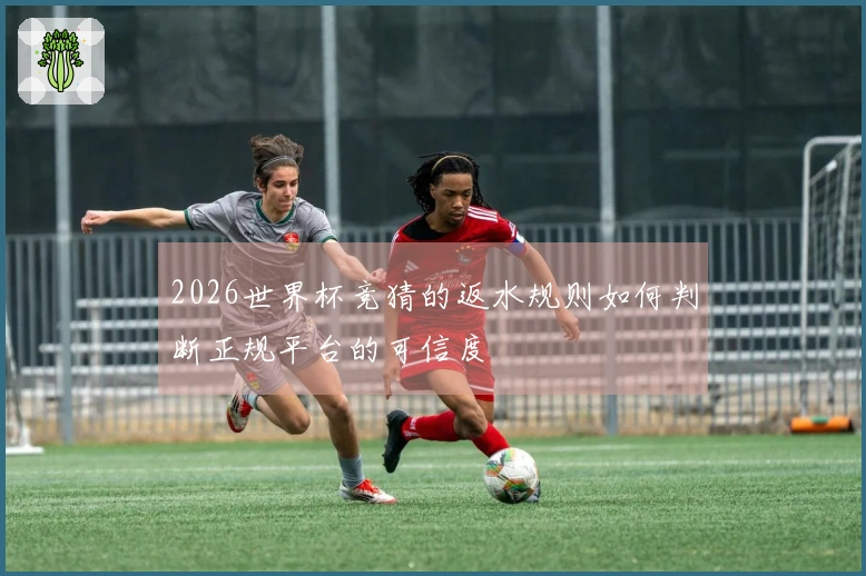2026世界杯竞猜的返水规则如何判断正规平台的可信度